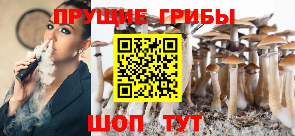 цена   Вход с VPN  Галлюциногенные грибы MAGIC MUSHROOMS  Псков  Псилоцибиновые грибы мухоморы 